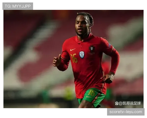 本菲卡启动新一期青训计划,强化人才梯队建设以提升竞技竞争力