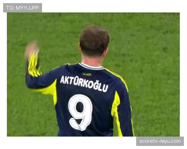 费内巴切球员表现